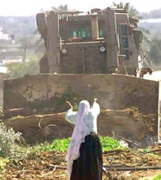 Palestinian woman challenges bulldozer.
