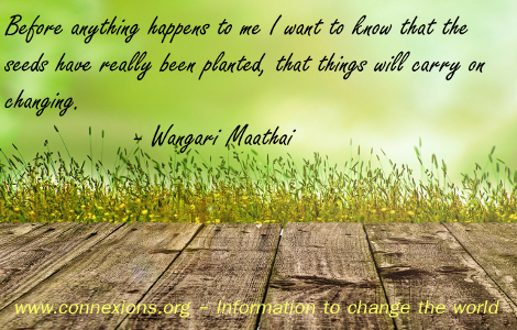 Wangari Maathai: I want to make sure the seeds have really been planted