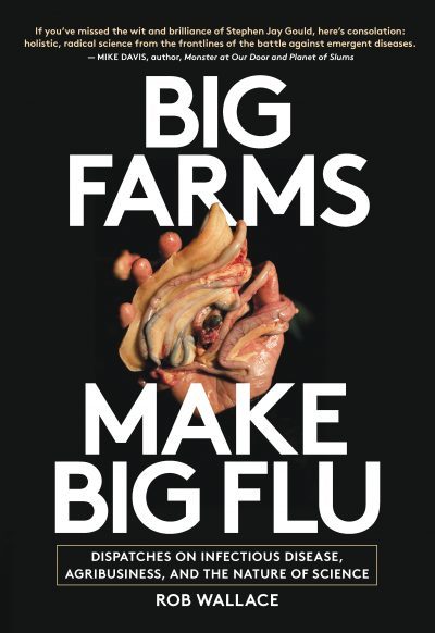 Book cover for Big Farms Make Big Flu