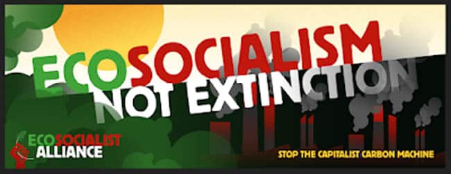 Ecosocialism not extinction banner image